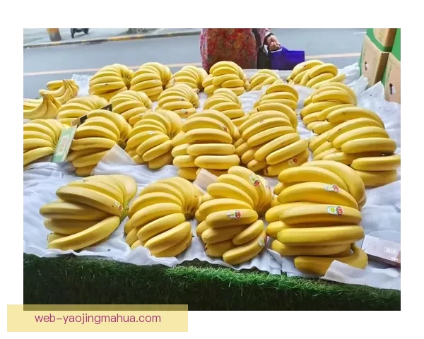 探索香蕉视频网站：不止于“蕉”，一场视听盛宴的无限可能